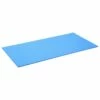 Hasegawa FYS-6030 Non- Slip Mat 600 X 300 Mm 1 Hasegawa FYS-6030 Non- Slip Mat 600 X 300 Mm -KNIVES FROM JAPAN Sales hasegawa fys 6030 non slip mat 600 x 300 mm p1748 9676 image